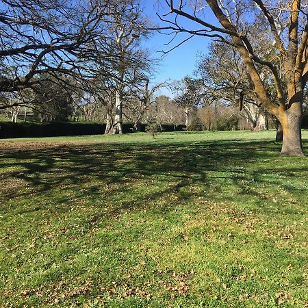 Angaston Collingrove Homestead מראה חיצוני תמונה