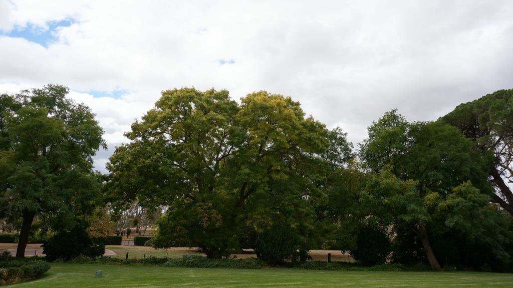 Angaston Collingrove Homestead מראה חיצוני תמונה