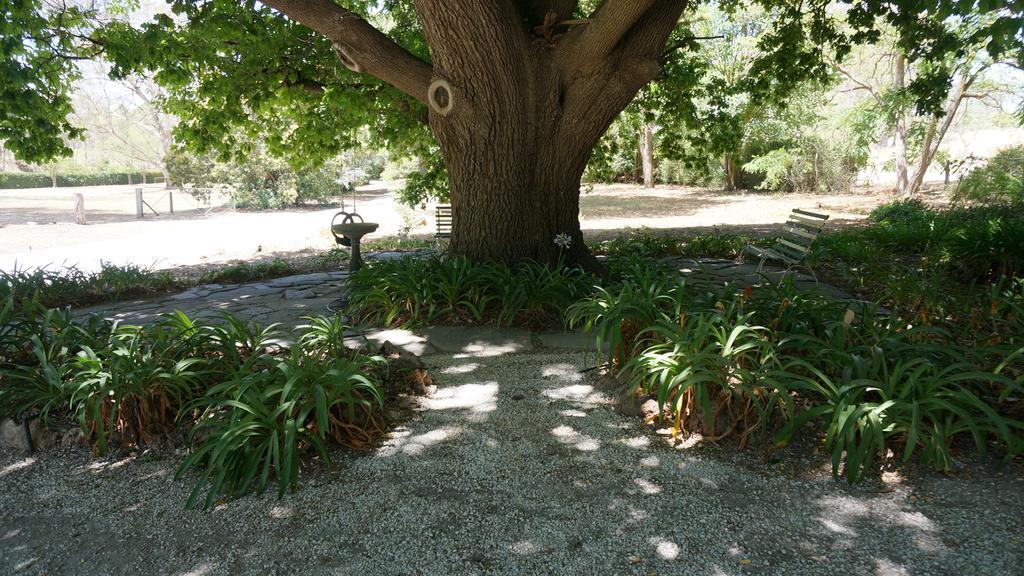 Angaston Collingrove Homestead מראה חיצוני תמונה