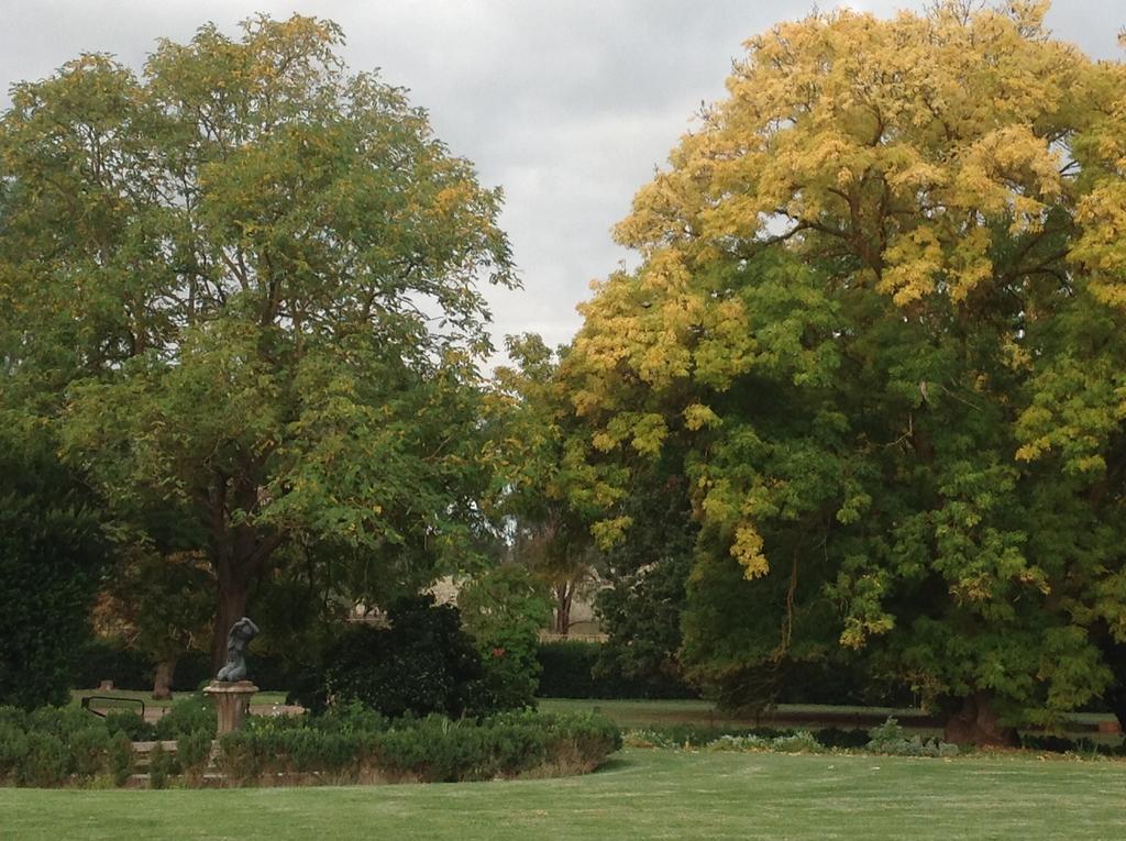 Angaston Collingrove Homestead מראה חיצוני תמונה