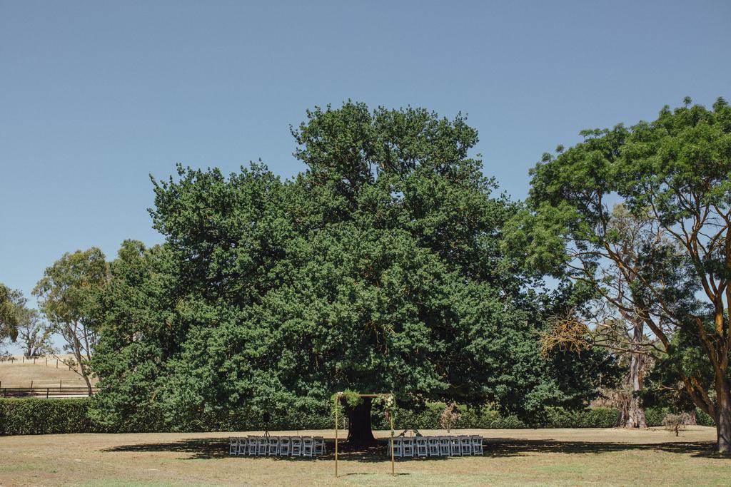 Angaston Collingrove Homestead מראה חיצוני תמונה
