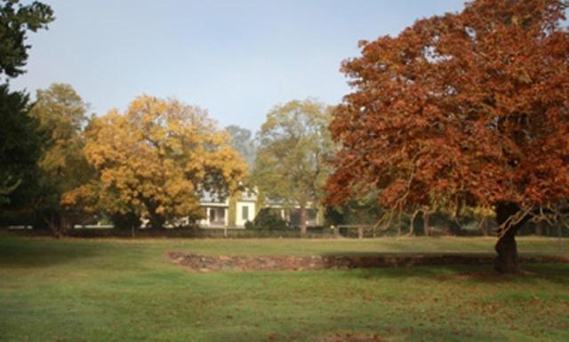 Angaston Collingrove Homestead מראה חיצוני תמונה